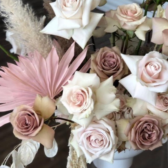 Meet your Posher, Adrienne - Picture 1 of 1